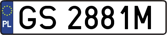 GS2881M