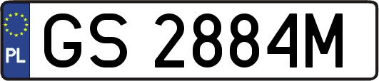 GS2884M