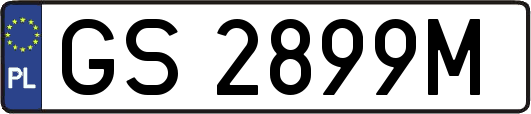 GS2899M