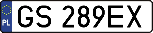 GS289EX
