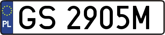 GS2905M
