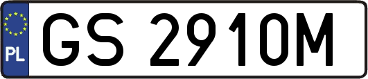 GS2910M