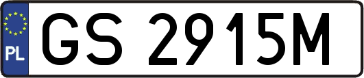 GS2915M