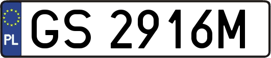 GS2916M