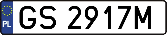 GS2917M