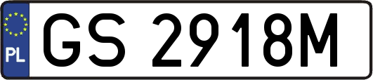 GS2918M