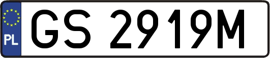 GS2919M