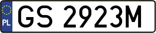GS2923M