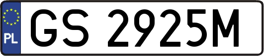 GS2925M