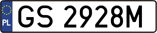 GS2928M