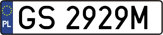 GS2929M