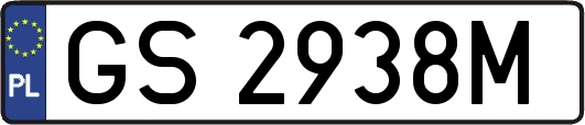 GS2938M