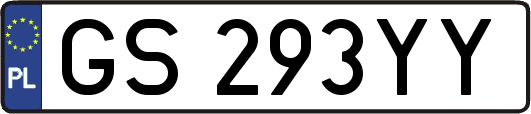 GS293YY