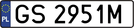 GS2951M