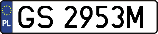GS2953M