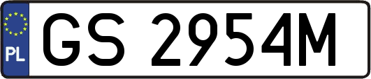 GS2954M