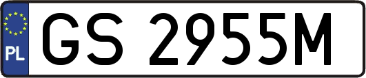 GS2955M