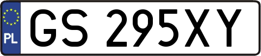 GS295XY