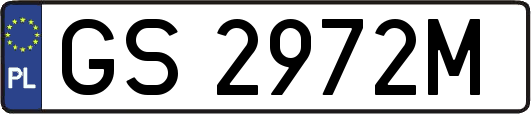 GS2972M
