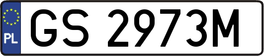 GS2973M