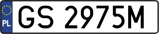 GS2975M