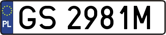 GS2981M