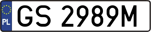GS2989M