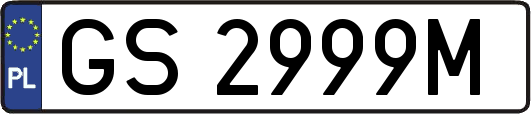 GS2999M