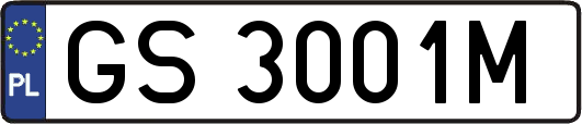 GS3001M