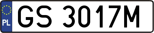 GS3017M