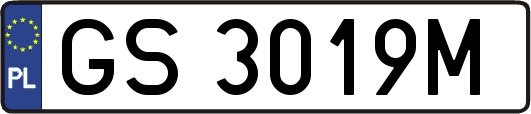 GS3019M