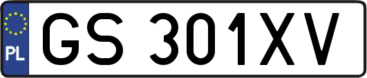GS301XV