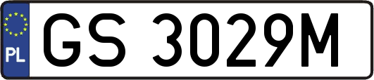 GS3029M