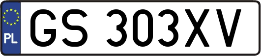 GS303XV