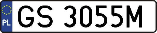 GS3055M