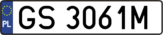 GS3061M