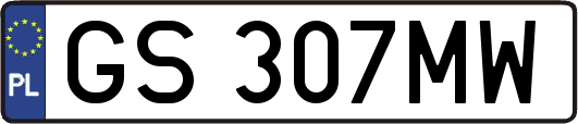 GS307MW