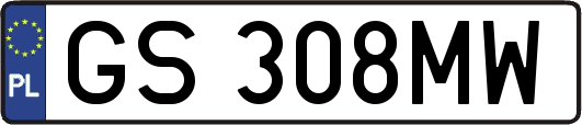 GS308MW