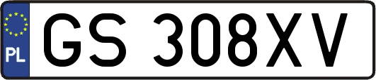 GS308XV