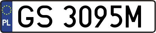 GS3095M