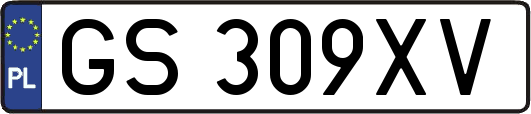 GS309XV