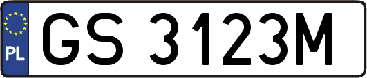 GS3123M
