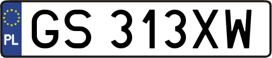 GS313XW