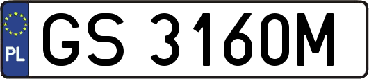 GS3160M
