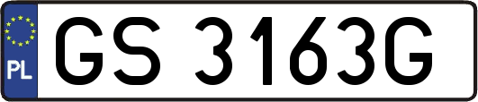 GS3163G