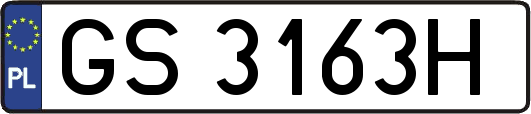 GS3163H