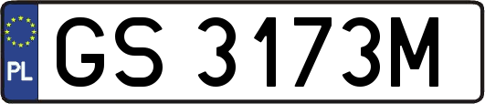GS3173M