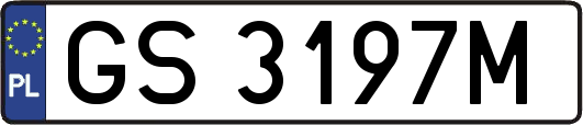 GS3197M