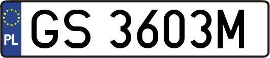 GS3603M