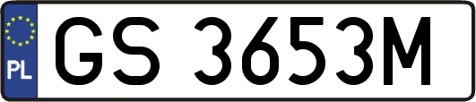 GS3653M